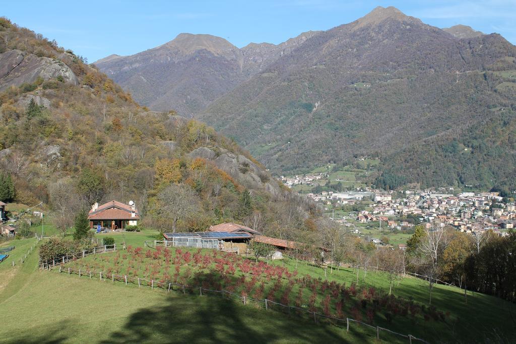 Agriturismo Il Mirtillo B,B Villa Pasturo Exterior photo